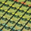 Australian Semiconductors