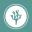 Australian Seaweed Industry