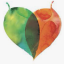 Adelaide Hills Creative Industries
