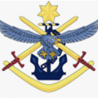 Drones in Defence
