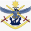 Drones in Defence