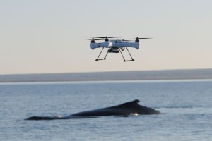 Environmental Monitoring