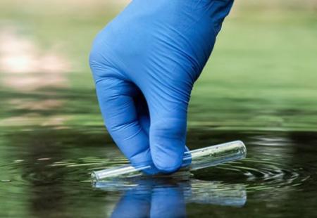 Environmental Consulting